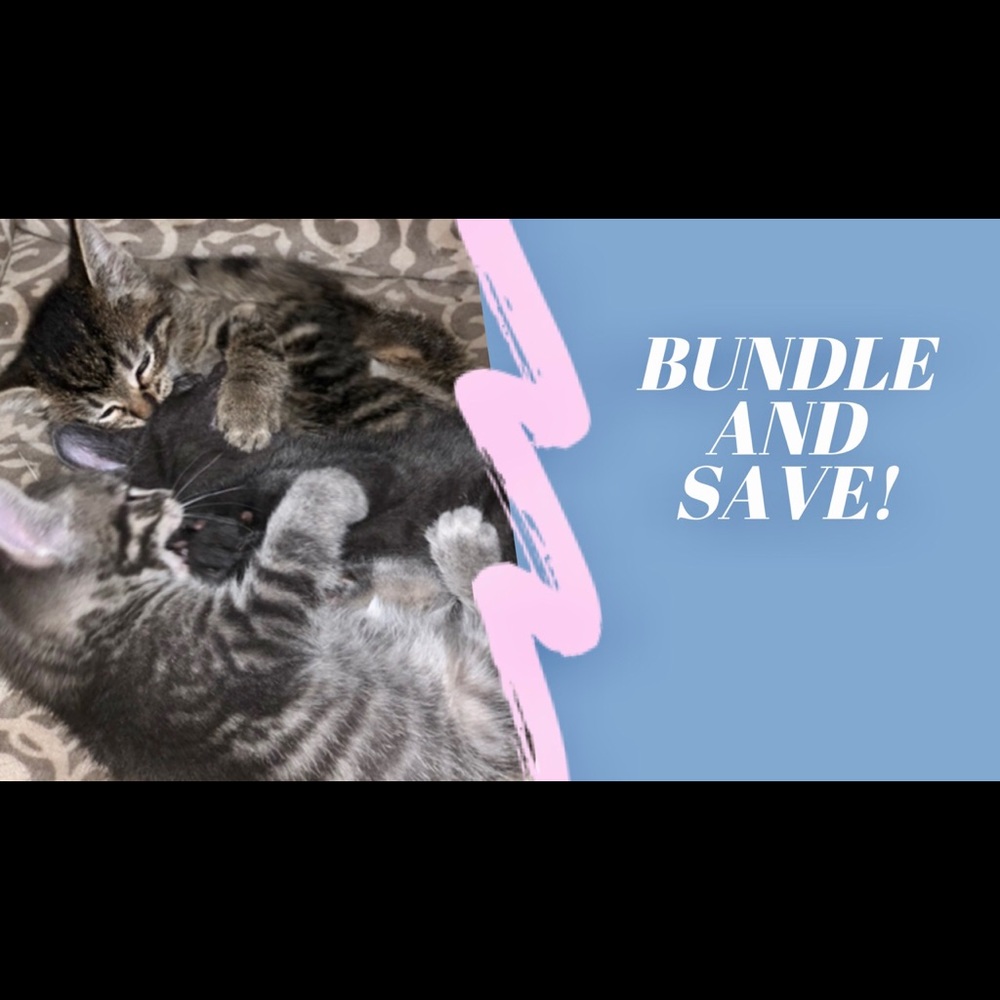 Bundle and save!